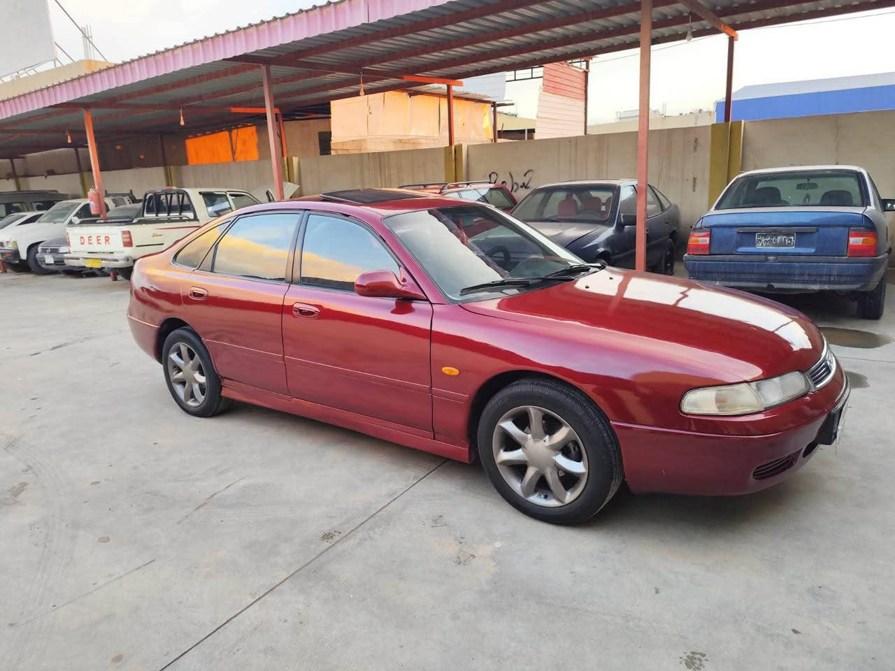 مازدا 1994 خلیجی سعر 47 مجال
تحویل و خرامەی ب شەرتن
گیر مکینە تبرید سارد گەرم شەرت
تەخم تایە داخلی کوشن بیلاد
بی دەعم و لیدان عام بەخ بۆ جوانی
500 هزار خرامە ل سعر دیتە خوار
شوین روڤیا/***********
*********** اكر, نينوى
