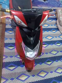 سكنس • مامفتوح • كفالة