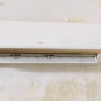 سبلت • ٢ طن • بغداد المشتل