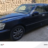 شاصي 175 • طك كارتون • بدون سنوية