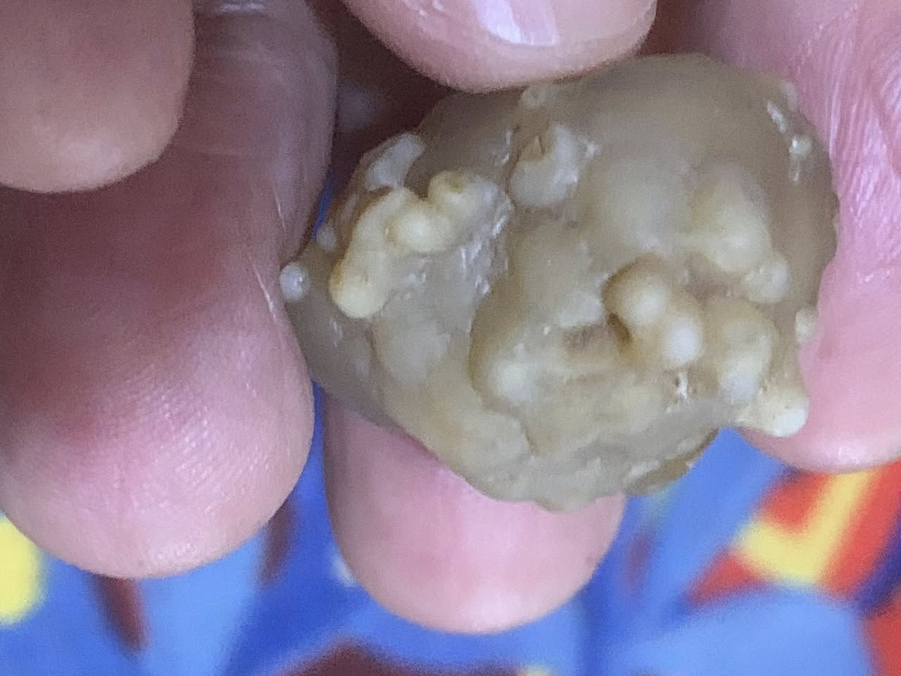 زوعه فديمه ملاقط


**إذا كنت صاحب هذا الإعلان وتريد حذفه لأي سبب، رجاءا أرسل رسالة إلى الدعم الفني**