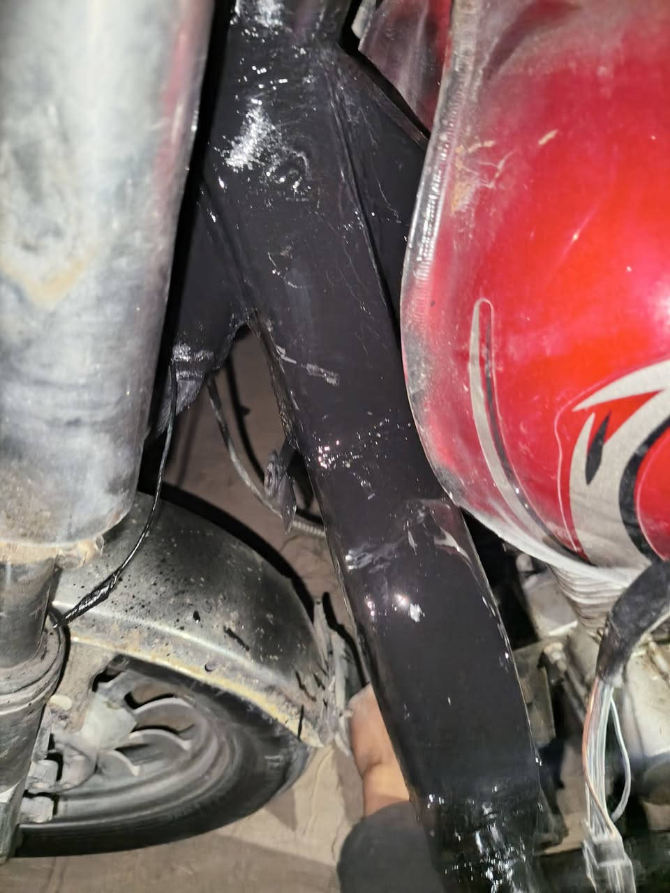 سبعه بابول مكفولة ستوته مدون بدي  كلك كلك مكفولة من سرقه مكاني ديوانية مناويه سعر 500رفمي ,***********
