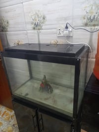 حوض سمك ١م×١٫٢٠م • ميز طعام ٤ كراسي • مدينة الصدر