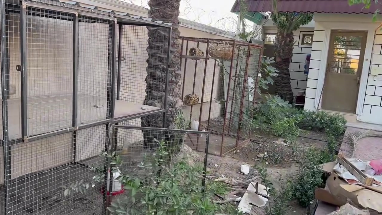 ‏السلام عليكم 
فرصه العمر لامتلاك مزرعه نموذجيه
مزرعه المساحه 📐 دونم 🏕️
الواجهه ٤٠م النزال ٦٠م
سند تحويل ملكيه 
الموقع بغداد الدوره الزنبرانيه قرب سريع الدوره اليوسفية 

السعر وباقي التفاصيل مراجعه مكتب الفهد أو الاتصالات 
*********** ابو علي
*********** ابو فهد‏ الجزء ‏8‏
