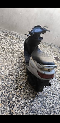 فراشة • مكاني • بصره