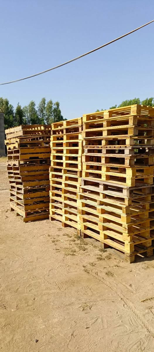 سلام عليكم
سكيب للبيع العدد95 سكيبه 
سعر السكيبه 5الف وبيه مجال بسيط 

قياسات مختلفه 

مكاني بغداد تقاطع نهروان 

***********
