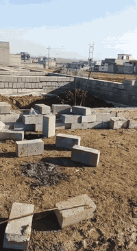 القوسيات • ١٩٠م • سند زراعي