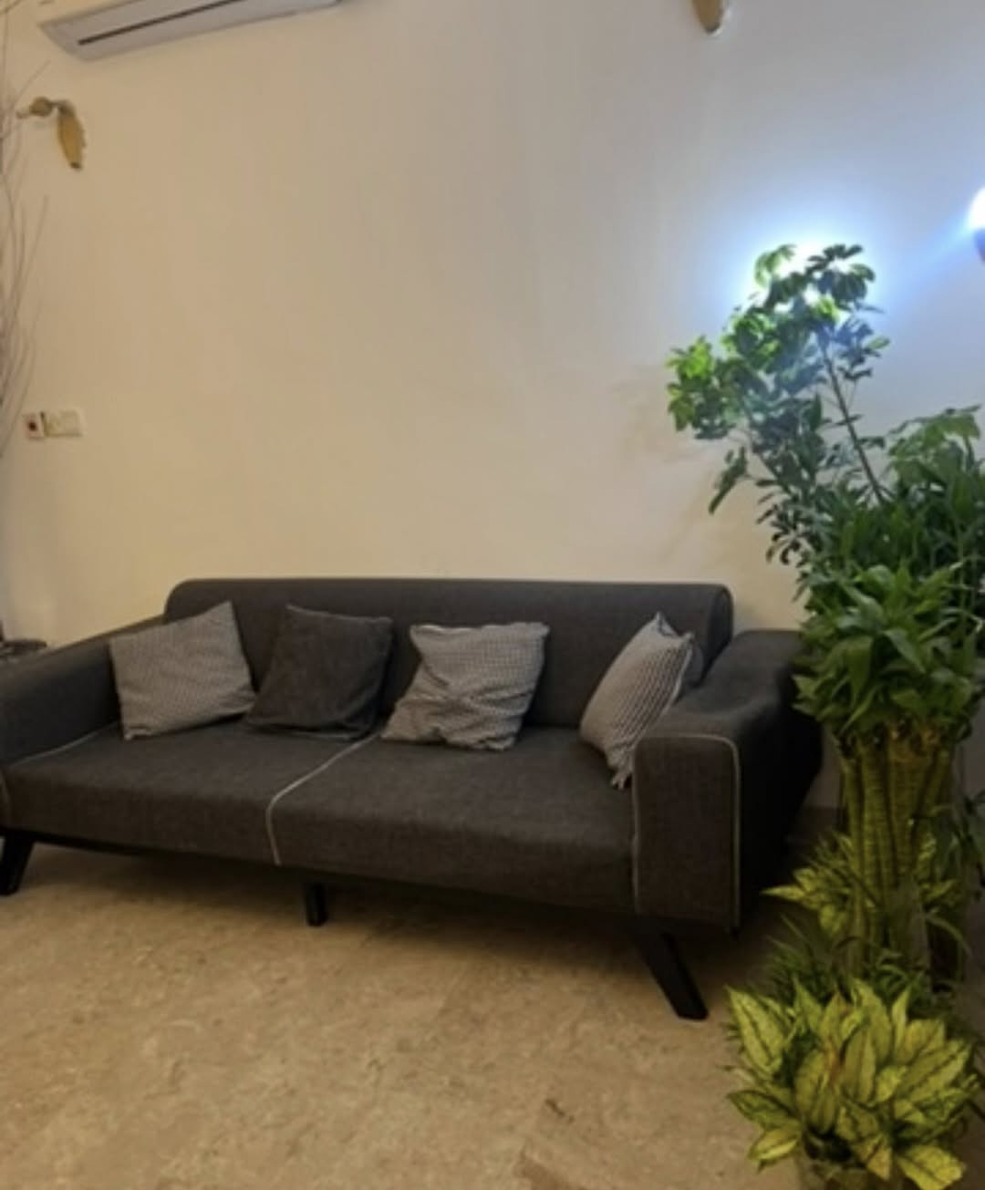 للبيع


**إذا كنت صاحب هذا الإعلان وتريد حذفه لأي سبب، رجاءا أرسل رسالة إلى الدعم الفني**