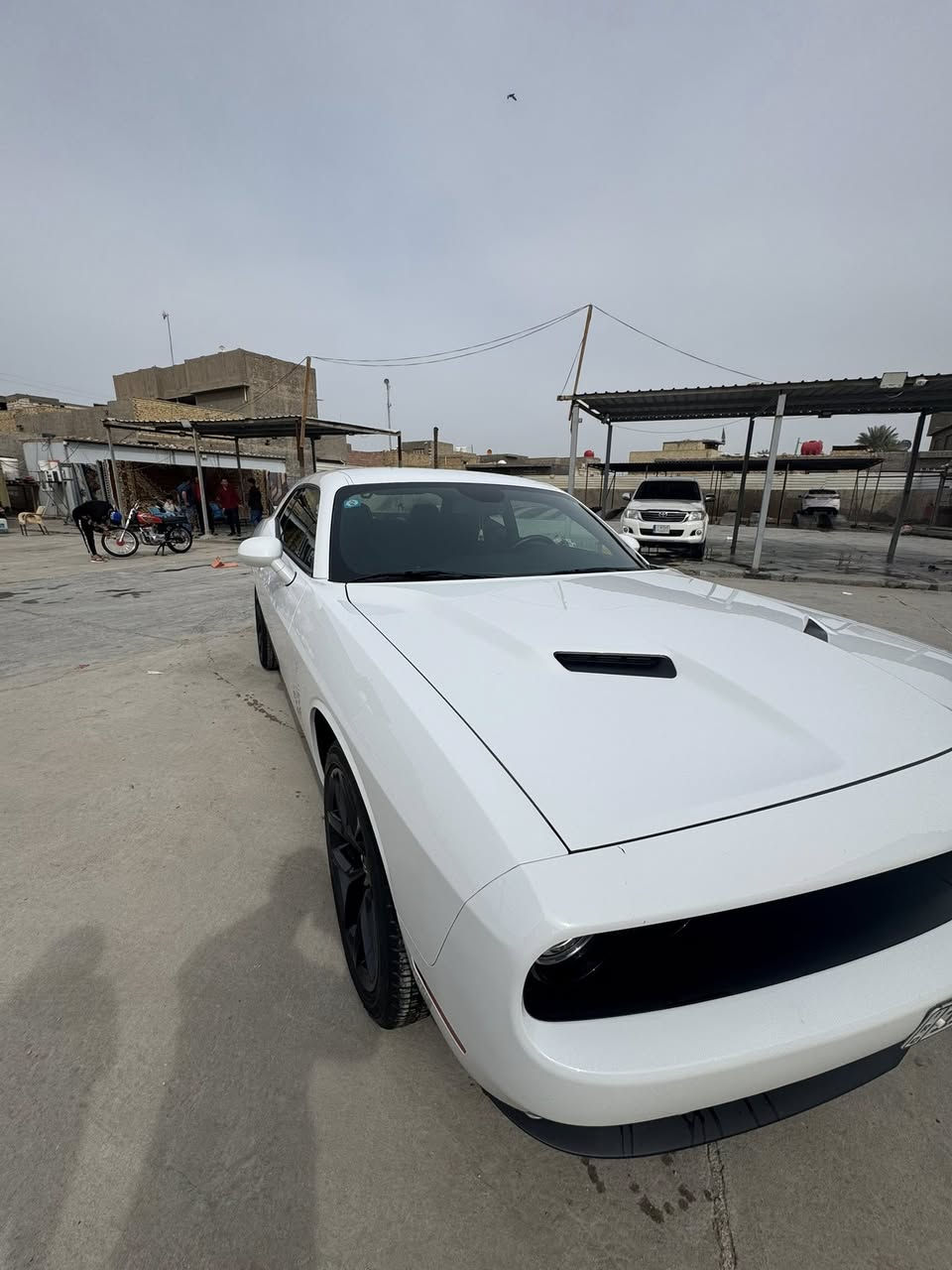 السلام عليكم ..
جالنجر 2023  كلين السيارة ب اسمي . 
فئه sxt
ماشيه 18,000 ميل . 
السونار مرفق بالمنشور ❤️‍🔥
السعر 215 وبيها مجال


**إذا كنت صاحب هذا الإعلان وتريد حذفه لأي سبب، رجاءا أرسل رسالة إلى الدعم الفني**