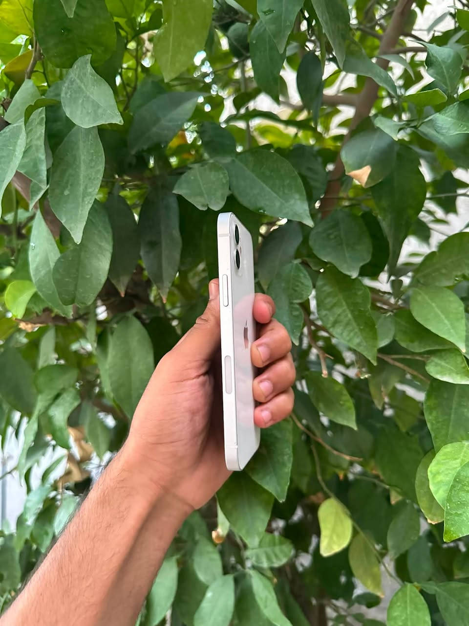 سلام عليكم
iPhone 12
لون الابيض المميز 🤍
نموذج m
ذاكرة 64
بطارية 76‎%‎ ميصرف شحن ابد 
نضافة 100‎%‎ شخط مبي الجهاز 
وتر بروف ممفتوح ولاداخل تصليح 
وين متريد افحص 
كلشي شغال بي مبي اي نقص 
فيس ايدي ✅ سماعات✅ كامرات✅ شبكه الاتصال✅ شبكه الانترنت✅ 
جاهز من اي نقص 
الجهاز حيل نضيف مراح تلكه بنضافته 
مكاني بغداد حي الاعلام 
*********** موجود واتساب 

اسف عل اطاله🤍
