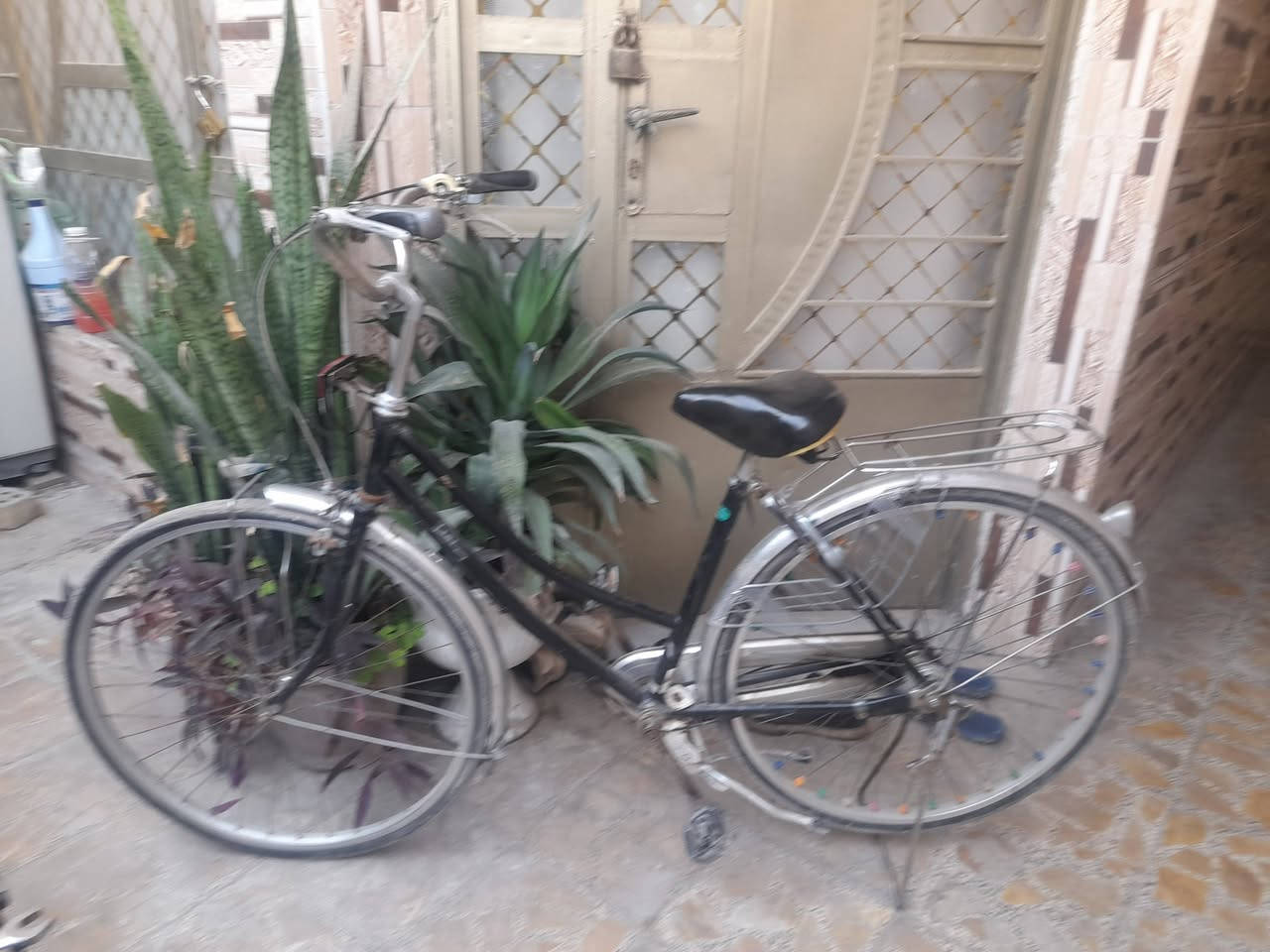 قلاية هوائيه سلفر كرست باله اصلي ٥٠ وكابسة كليجه ١٢ وبايسكل حجم ٢٧ ب٦٠ وبايسكل حجم٢٢ ب٤٠ المكان بالشعب


**إذا كنت صاحب هذا الإعلان وتريد حذفه لأي سبب، رجاءا أرسل رسالة إلى الدعم الفني**