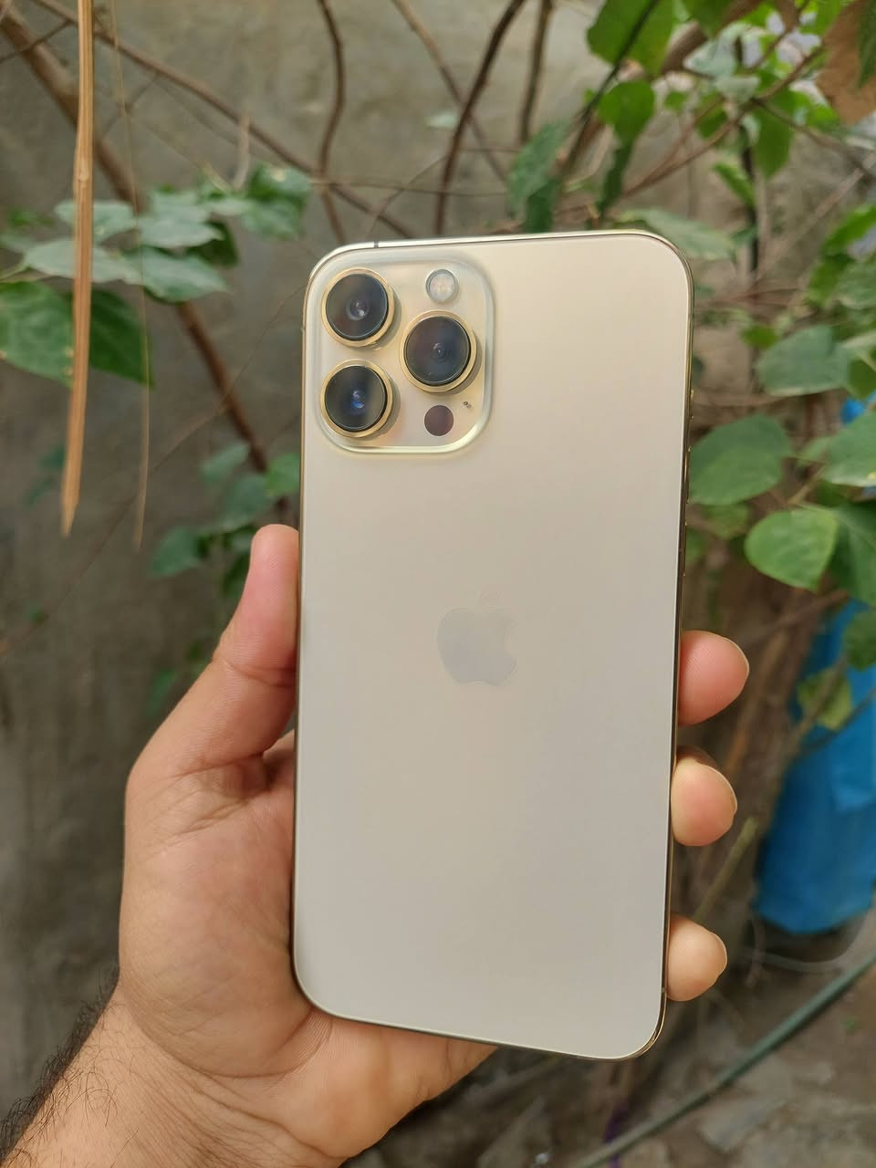 ايفون 13 برو ماكس   امريكي
ايفون 13 برو ماكس  امريكي 

لذاكرة 1 تيرة     1024 كيكا 

قطع تبديل كامرة فقط
فيس ايدي متوقف فقط 

الجهاز مكفول شرط الفحص، 
بطارية 81 

كربلاء  سعرة 725 الف 
بي مجال بسيط 
بيع او مراوس، 
توصيل لجميع المحافظات موجود


**إذا كنت صاحب هذا الإعلان وتريد حذفه لأي سبب، رجاءا أرسل رسالة إلى الدعم الفني**