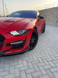 موستنك شيلبي • ايكو بوست • ٢٠٢١