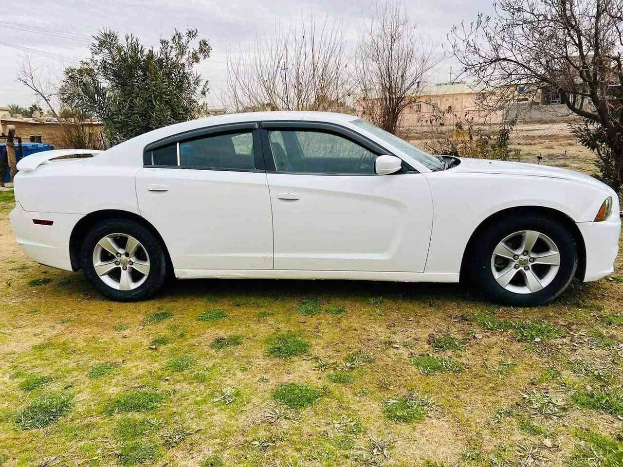 سلام عليكم من رخصت الادمن المحترم
جارجر 2013 رقم اربيل 
وارد أمريكي  حادثها قطعتين 
سونار مرفق مع الصور 
مكينه كير كفاله
حجم المحرك 3600
سنوية لغاية 2031
هزة جديده قبل شهر
شىرط التحويل مع البيع او وكالة عامة شنو الي يريده الشراي
مواصفات السيارة:-
* داخل احمر 
* مصابيح امامية زنون مع بلوجكتر 
* ويل قياس 18خليجي أنج 
* شاشه صغيرة
* مقاعد أمامية كهربائية عدد 2 
* تشغيل عن بعد 
* محدد سرعة 
* مرايا متحسسة للاضاءة
* دخول ذكي (بصمة) 
* تشغيل بصمة
* السعر 145 وبيها مجال بسيط
مكان السيارة صلاح الدين الشرقاط 
للاستفسار  واي تفاصيل اخرئ الاتصال ومتوفر واتساب
‏‪***********‬‏
‏‪***********‬‏
***********
