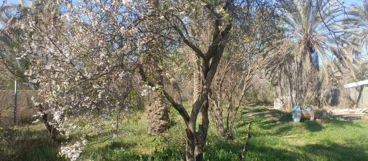 دونم للبيع طابو زراعي سند 25 تحويل مباشر بسم المشتري  العنوان بغداد الراشديه تبعد عن بوابة بغداد الحسينيه 7 دقائق السعر 160 مليون وقابل للتفاوض مسيج بالكامل للاستفسار الاتصال على الرقم التالي *********** مكتب العبيدي للعقار
