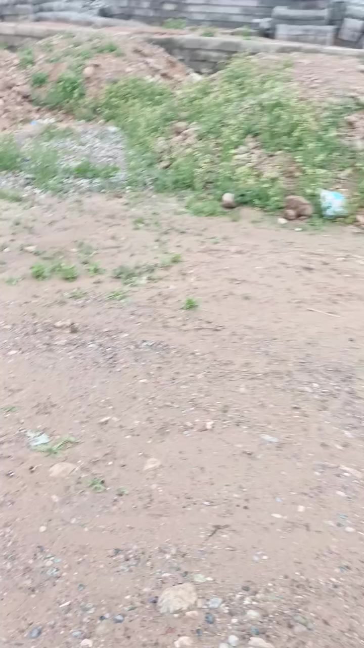 بسم الله الرحمن الرحيم
قطعة أرض تجاريه المحل مكعب وفوكا ٢٥٠ بلوكه 
العرض ٦ .. والعمق ١١ متر 
السعر ٣٦٥٠ 
اتصل وتدلل 
على طريق البريه اسديره وسطى


**إذا كنت صاحب هذا الإعلان وتريد حذفه لأي سبب، رجاءا أرسل رسالة إلى الدعم الفني**