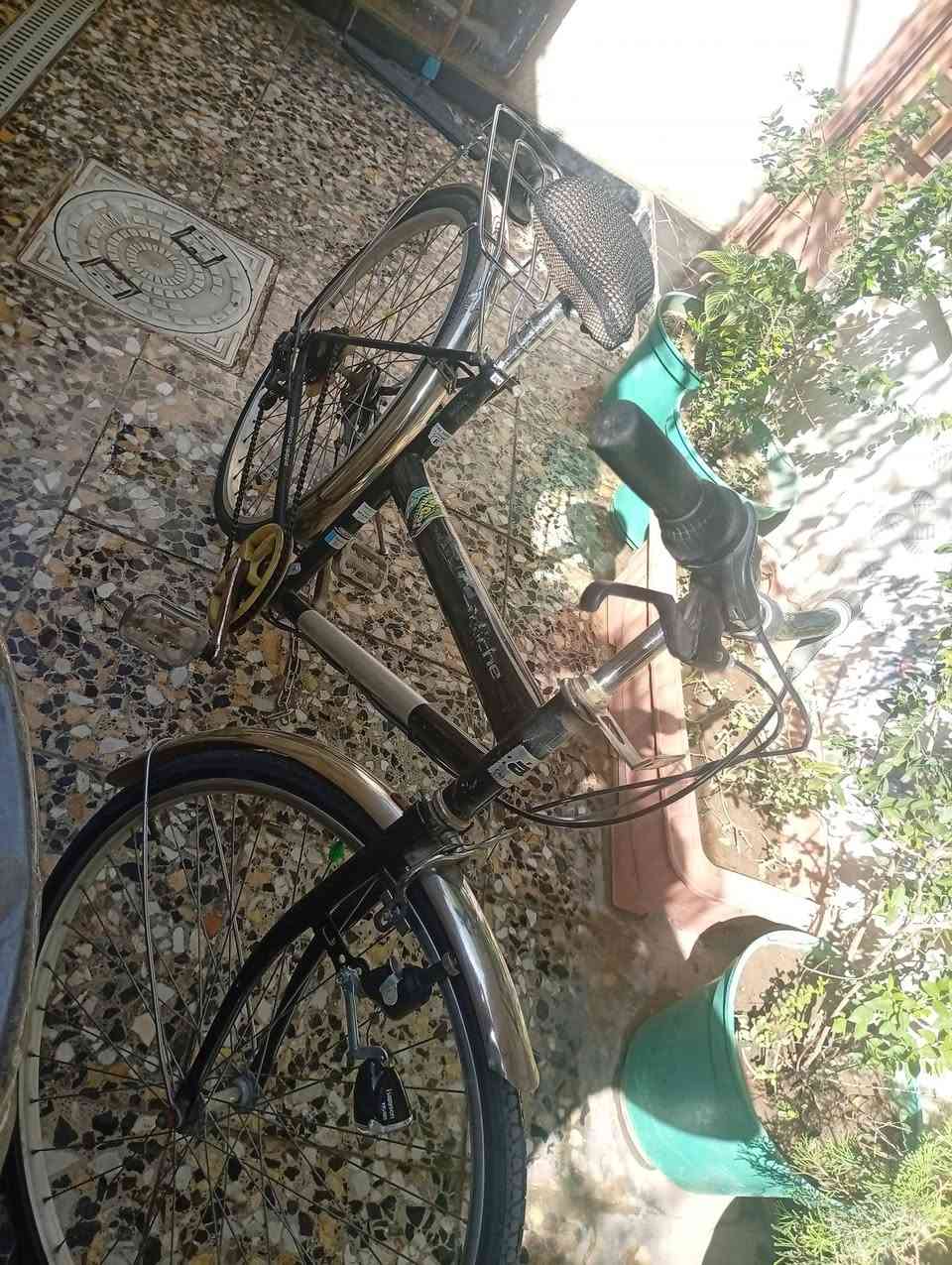 السلام عليكم عندي بايسكل للبيع كلشي مابي الكير يشتغل سريع جداً السعر الخاصه 80 الف المكان الشعب حي البساتين شارع احمد الوائلي فرع ماركت جدو رقم الهاتف ***********🚵🏻‍♀️🚁🔋💵
