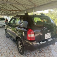 توسان • صبغ عام • رقم اربيل