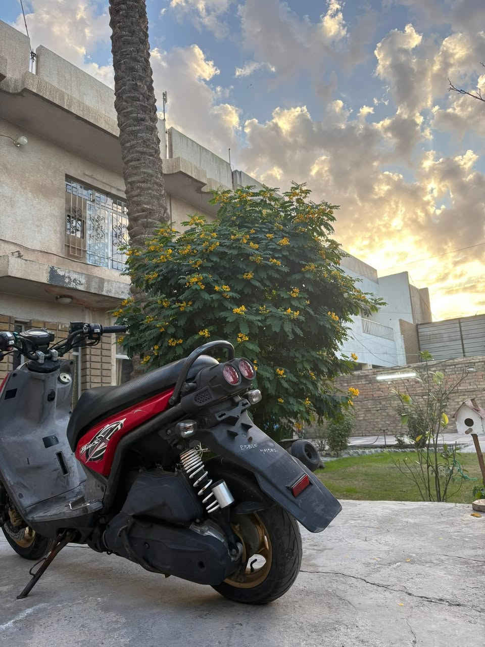 سكنس جبلي مال رمبة نزلتها قبل اسبوع عدل دراجة كفالة عامه برغي ممفتوح بيها مكينه جديدة والدراجة هاون خير من الله تجي وتشوف بعينك كفرات بلادي كلها ختم واحد للاستفسار *********** 
بغداد السيدية
