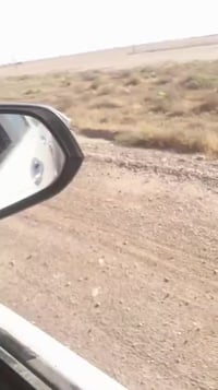 بغداد المدائن نهروان • ٢٠ دونم • عقد زراعي