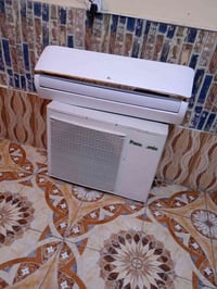 سبلت • طنين • شغال