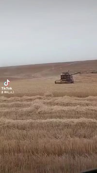 عنوان • تلعفر