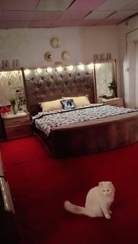 غرفه تركيه • كاربد ٤×٦ • بغداد الاحسينية