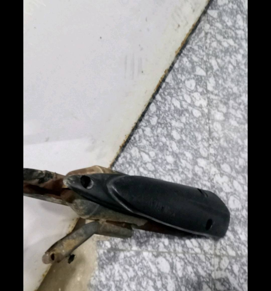 سلام عليكم صالنصه ماكس بلادية للبيع مكان ميسان للتواصل ***********
