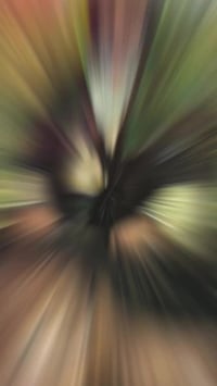 صور أهل البيت • سيد • ٢٠×٣٠،٤٠×٣٠