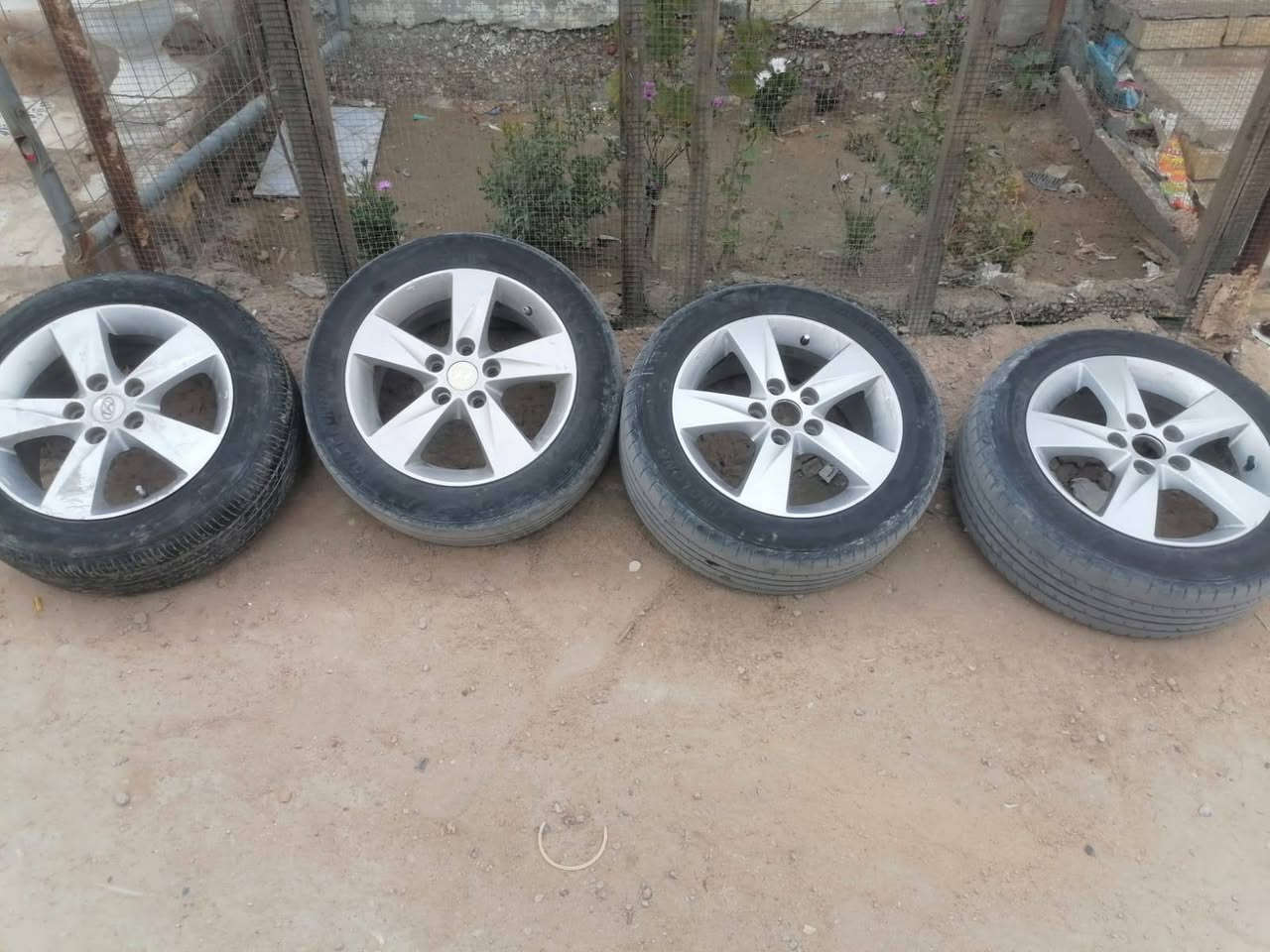 265 وبيهن مجال لشراي المكان نجف حي النداء رقم التلفون ***********
مالت النتره 11 لحد 14
