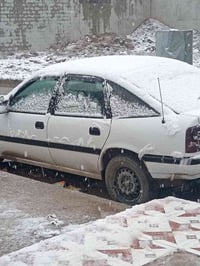 فيكترا • ٩١ • كابريته