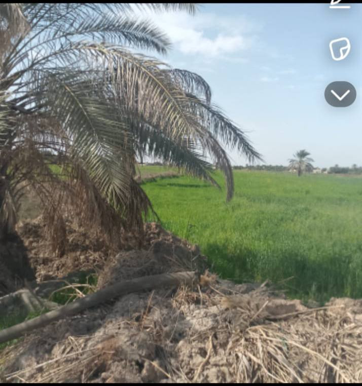 سلام عليكم ارض زراعيه 3 دونم
المكان النجف الحيره الصنين
ماء الساله كهرباء ماء سقي
مزروعه حنطه
‏‪0782 344 6257‬‏
