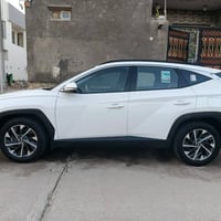 توسان خليجي • ٢٠٢٤ • بصرة
