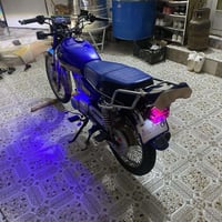 تايكر • ٢٠٢٤ • كمرك مدفوع