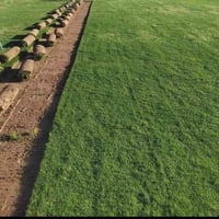 ثيل طبيعي • توصيل كل المحافظات • تجهيز حدائق