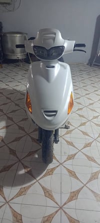 فراشة فحل • مكينة ناعمة • أبو صخير