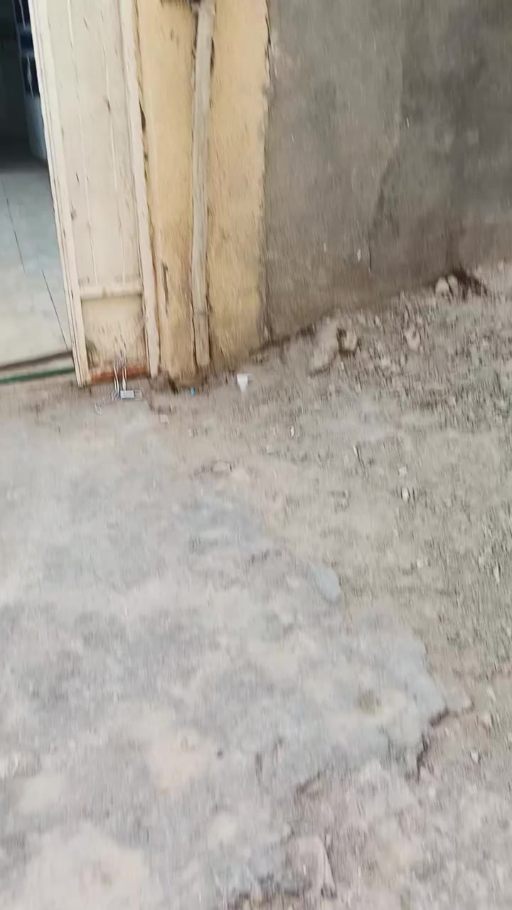 دار للإيجار – منطقة الصخين قرب الجامعة
دار للإيجار في منطقة الصخين قرب الجامعة، مساحة الدار 100 متر، مكوّن من طابقين.
🔹 يحتوي على:
3 غرف نوم
صالة
حمامات
📌 ملاحظة: الدار داخل دروبنه (فرع).
للاستفسار والتفاصيل أكثر الاتصال على الرقم:
📞 ***********
سعر الايجار ٢٧٥
