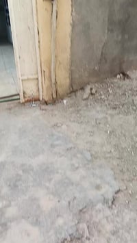 الصخين قرب الجامعة • ١٠٠م • ٣ غرف