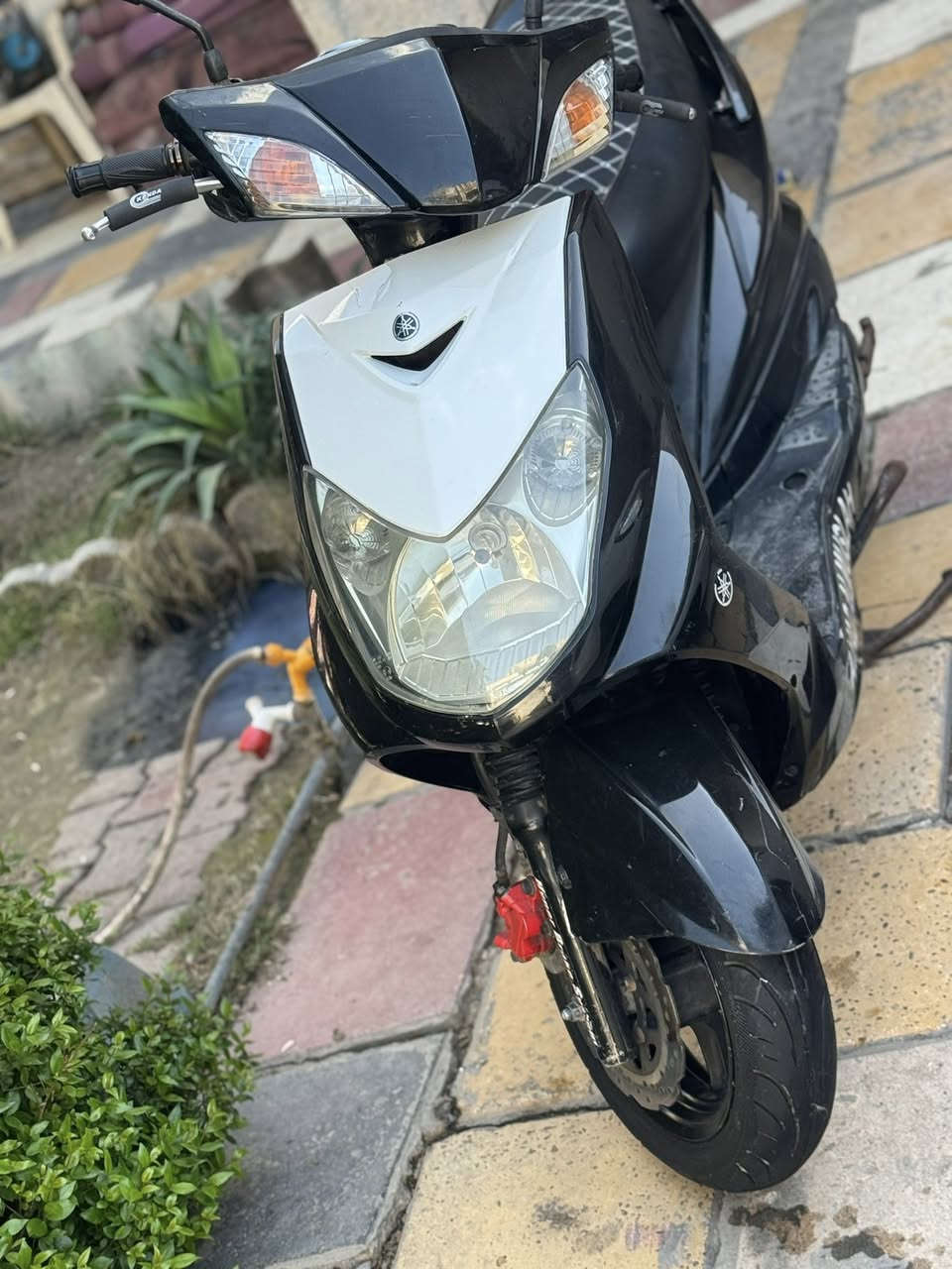 سلام عليكم للبيع سكنس فحل ياباني مكينه بلاديه كهربائيات كله شغاله نكره سلف بكل وقت كابريتر اصلي مابيه لا نضوح ولا تبخير السعر 600وبيه مجال بسيط للاستفسار ***********بغداد حي القاهره
