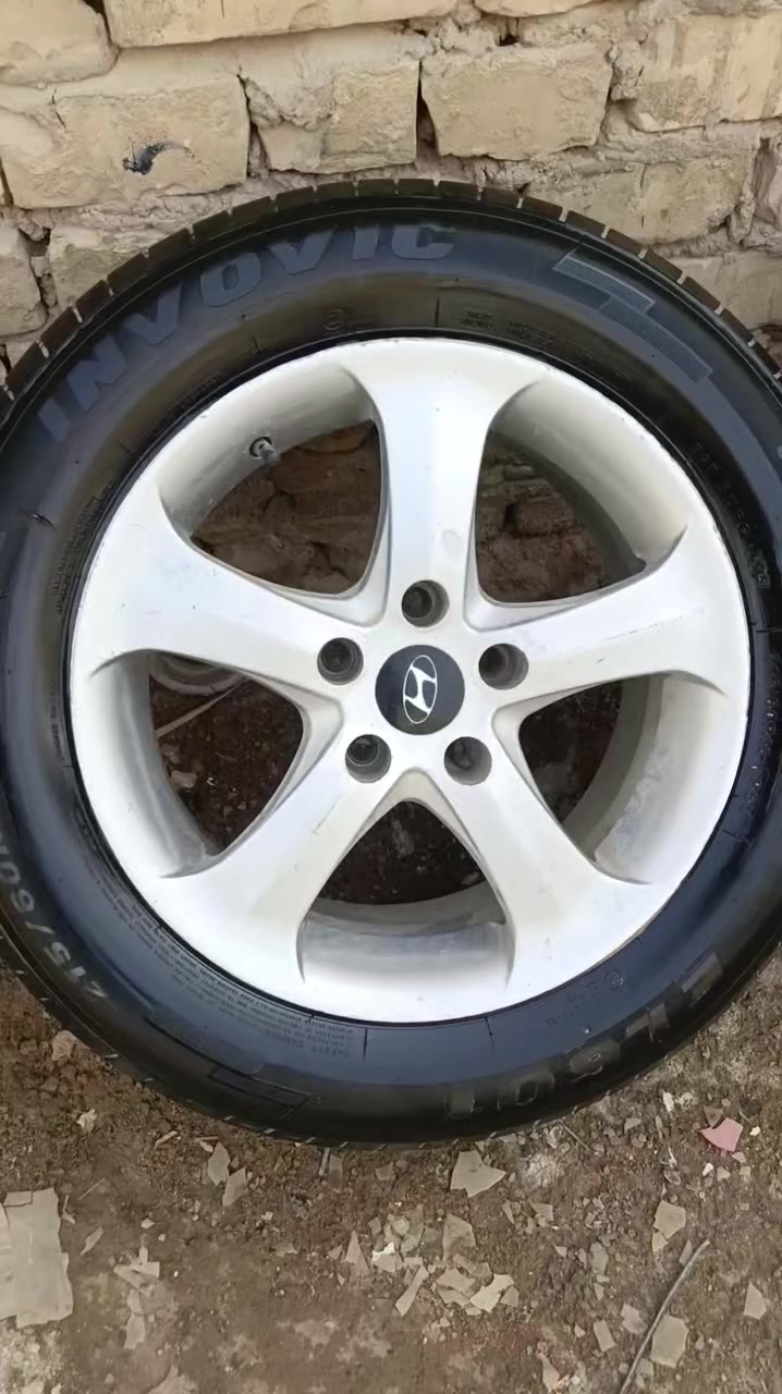 تخم ويلكم للبيع مكان النجف
شراي يجيني خاص ***********
