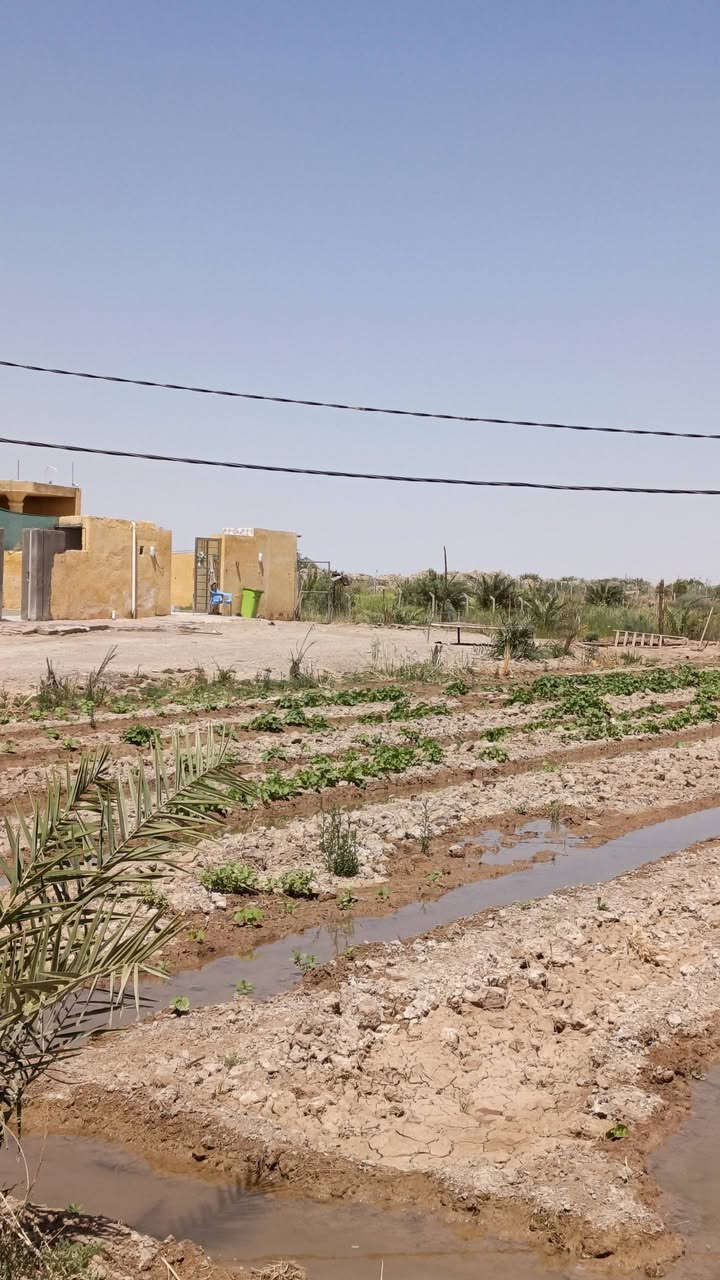 خمس دوانم بيهن بيوت 3مي كهرباء بل باب مولده كبير الكاع مسيجه بي آر سي بيها نخل مثمر على طريق دجيلي قرب مدرسه الأندلس الاستفسار ***********
