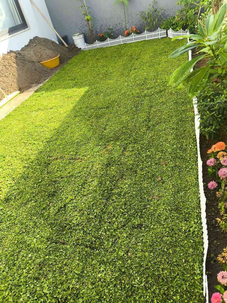 ثيل ديالى الطبيعي
تصميم  الحدائق  بأسعار تنافسية ☘️🌲


**إذا كنت صاحب هذا الإعلان وتريد حذفه لأي سبب، رجاءا أرسل رسالة إلى الدعم الفني**