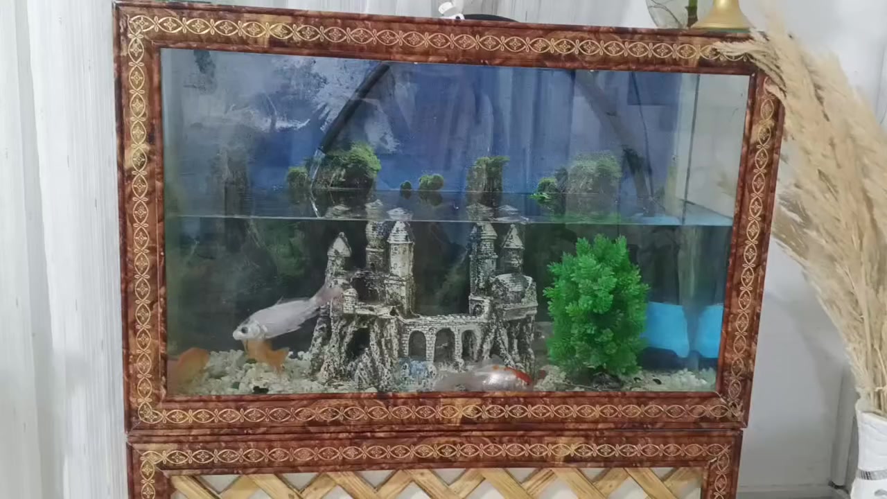 ئه م ماسيانه بوفروشتن ٩دانه يه  ***********
