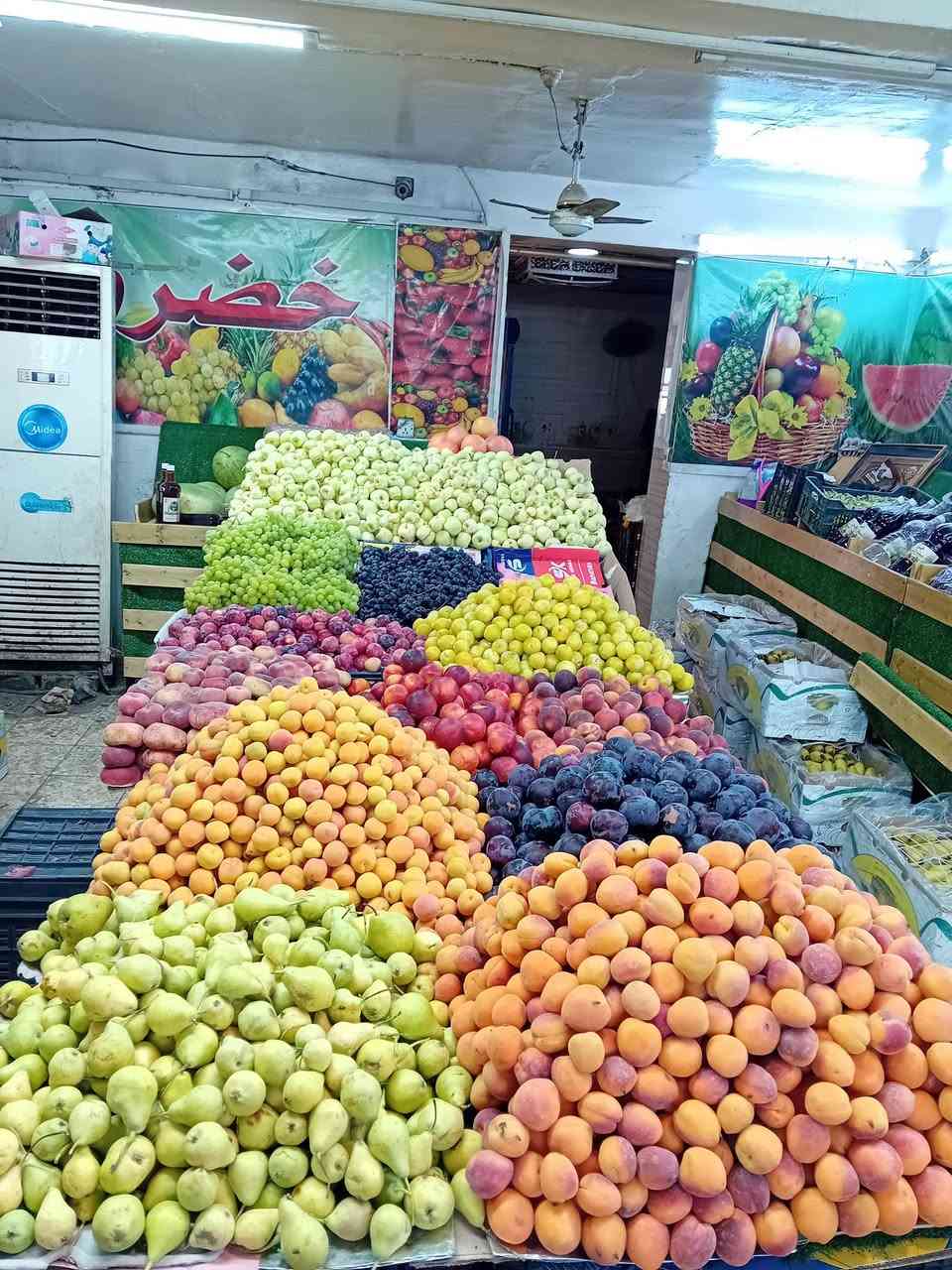 محتاج شريك بعلوه مخضر وفواكه ودجاج ذبح وسمج حي سمج شوي علوه شغله خير من الله مكاني بغداد الحريه  الاتصال ع رقم*********** يوجد واتساب
