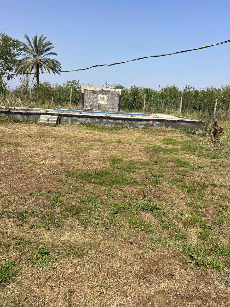 مزرعه في ابوذهب قريبه عن الشارع الوسط بيت صغير مع حديقه مزروعه فواكه منتجه تفاح عرموط نخل رمان سفرجل وحمضيات مساحه دونم ونصف مسيجه كهرباء واصل للمزرعه اعمدة كهربا ء.***********
