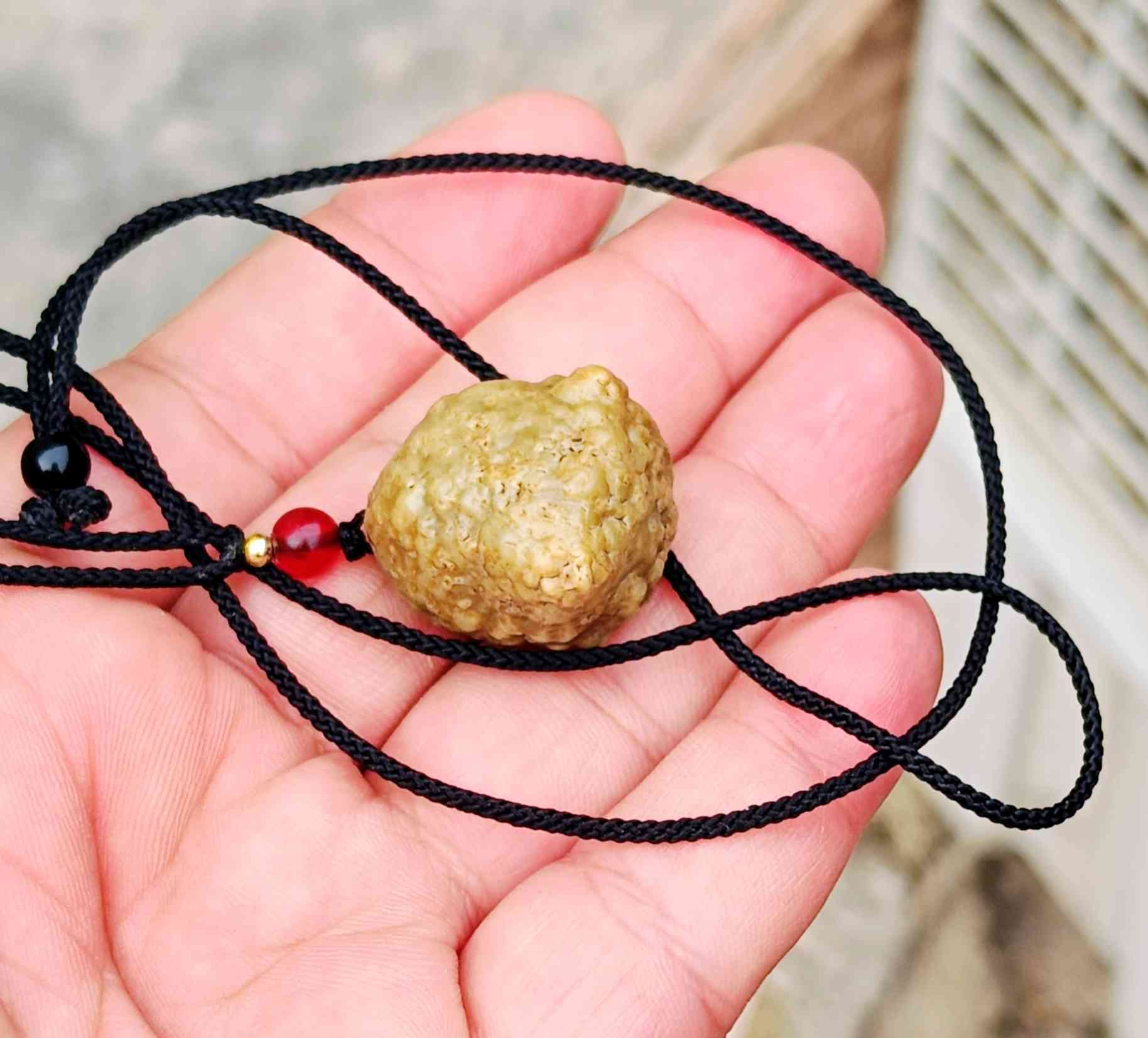 سلام عليـــــــكم 🫷🏿👇👇

زوعــــــه حيه(قطعة قديمه) تحفه ووجمال

يوجد توصيل بدون مراوس او حجز مكاني سماوه سعـــره مع التوصيل(35)🔒🔒


**إذا كنت صاحب هذا الإعلان وتريد حذفه لأي سبب، رجاءا أرسل رسالة إلى الدعم الفني**