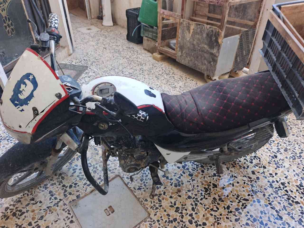 سايم للبيع موديل 16 جاهز على كل عيب بدون اوراق اتعهد من سرقه نظافه خير من الله السعر 550 بيه مجال بسيط العنوان فلوجة الجغيفي الثانية رقم الهاتف *********** 

مكلف بل نشر
