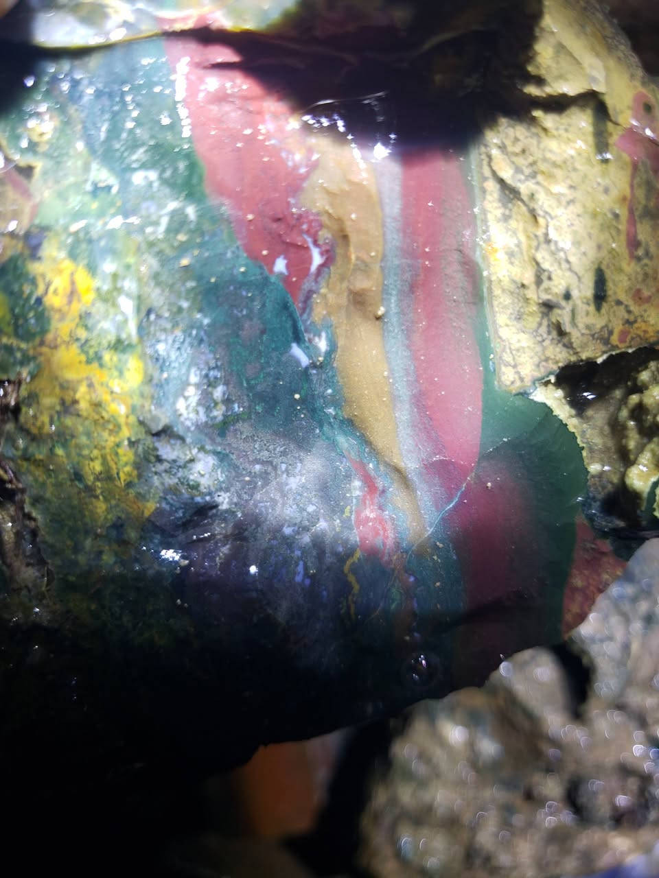 @إشارة عقيق يماني


**إذا كنت صاحب هذا الإعلان وتريد حذفه لأي سبب، رجاءا أرسل رسالة إلى الدعم الفني**