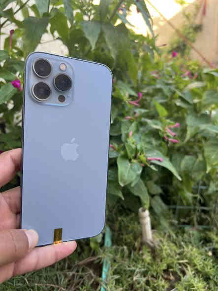 السلام عليكم ورحمة وبركاته 
يتوفر آيفونات 13برو ماكس 

الذاكرة 256%

البطاريات94(93)

النضافه 90%
ألوان بحري جميعا

عل ضمان أنطي يوم كامل تفحص

العنوان شهربان حي العسكري 

مراسله اوًاتصل ع رقم***********
