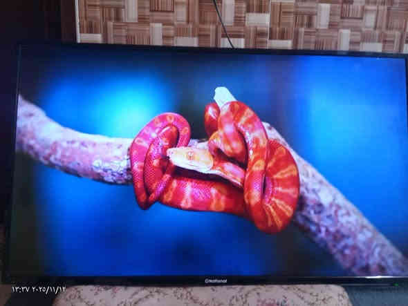 السلام عليكم ورحمه الله وبركاته 
بلازمة ناشنال  فووول مواصفات للبيع 
حجم 43
بدون عيب شرط مال بيت
نظيف جدآ 

- يوتوب 
تربط بلوبايل 
افلام اجنبية
افلام كارتون 
اغاني  ... الخ 

سعرها.      160.  الف. شوية بي مجال 

لستفسار خاص او

 اتصال 

*********** كركوك
